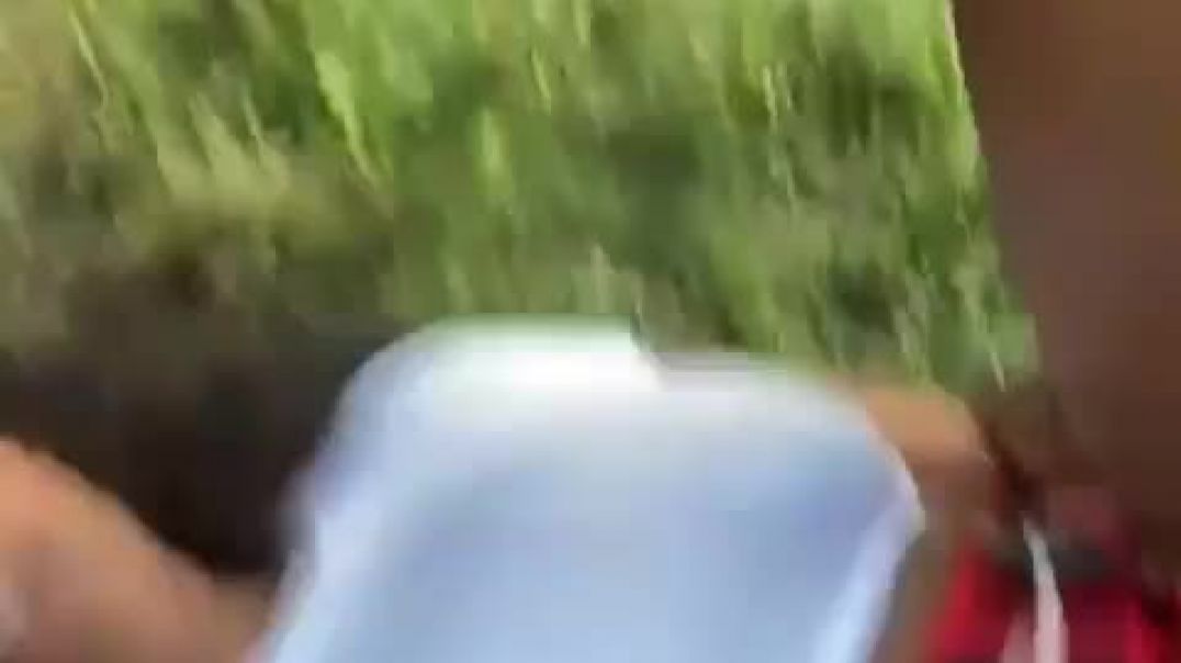 Picnic