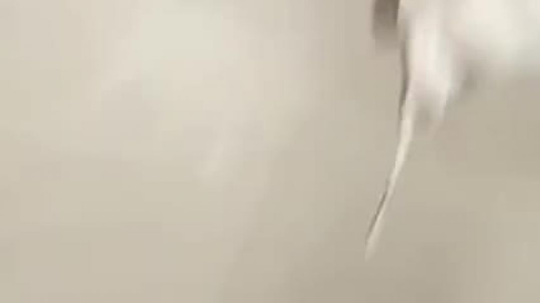 Sex in the toilet restaurant